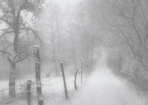 -那场雪 冲刷了一切回忆-
雪景背景图 