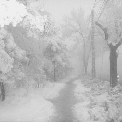 -那场雪 冲刷了一切回忆-
雪景背景图 