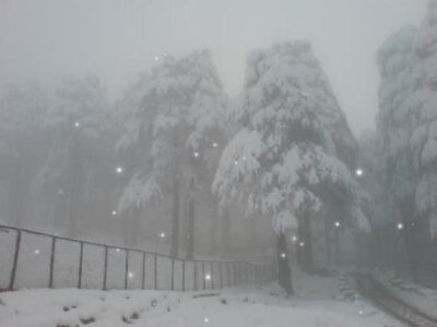 -那场雪 冲刷了一切回忆-
雪景背景图 