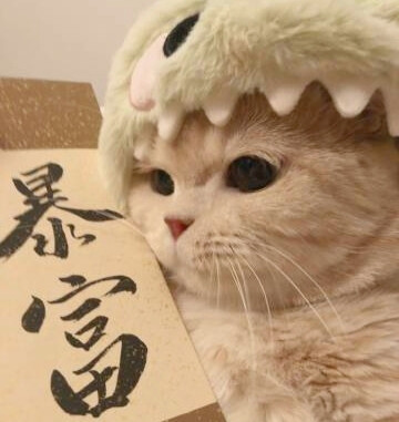 发财猫猫团头来了
