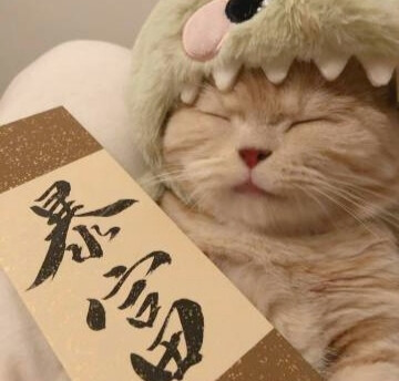 发财猫猫团头来了