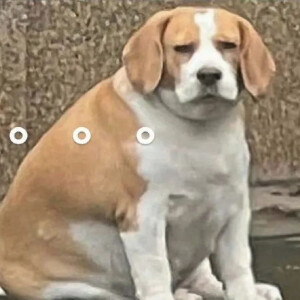 赞 评论 收藏 更多 发布至专辑 表情包 4990张图片 534人收藏 扫一扫