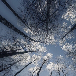 雪景