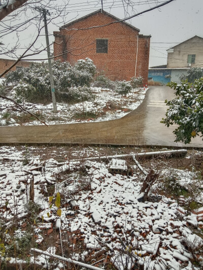 雪！终于下雪了！
