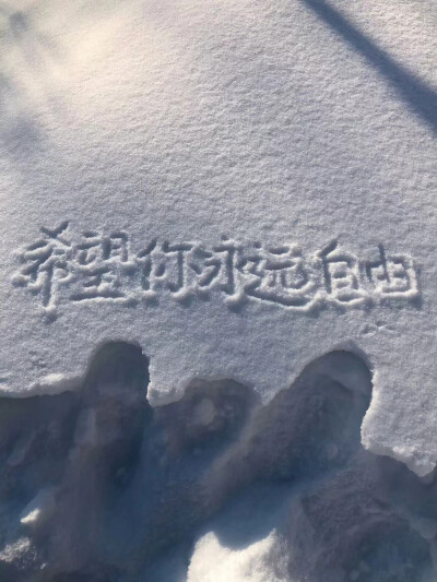 雪景