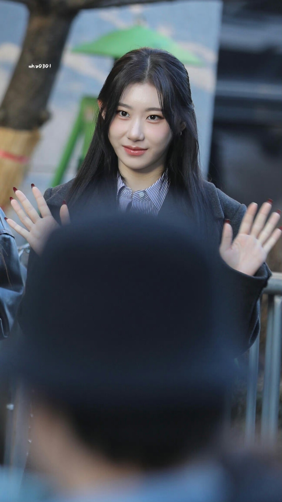 李彩领