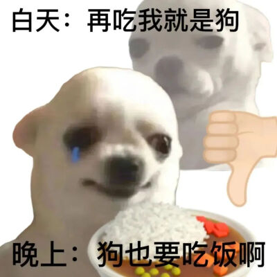 减肥真实现状表情包