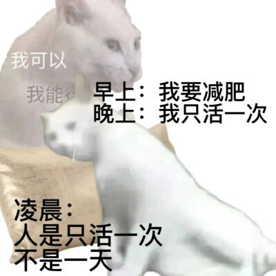 减肥真实现状表情包