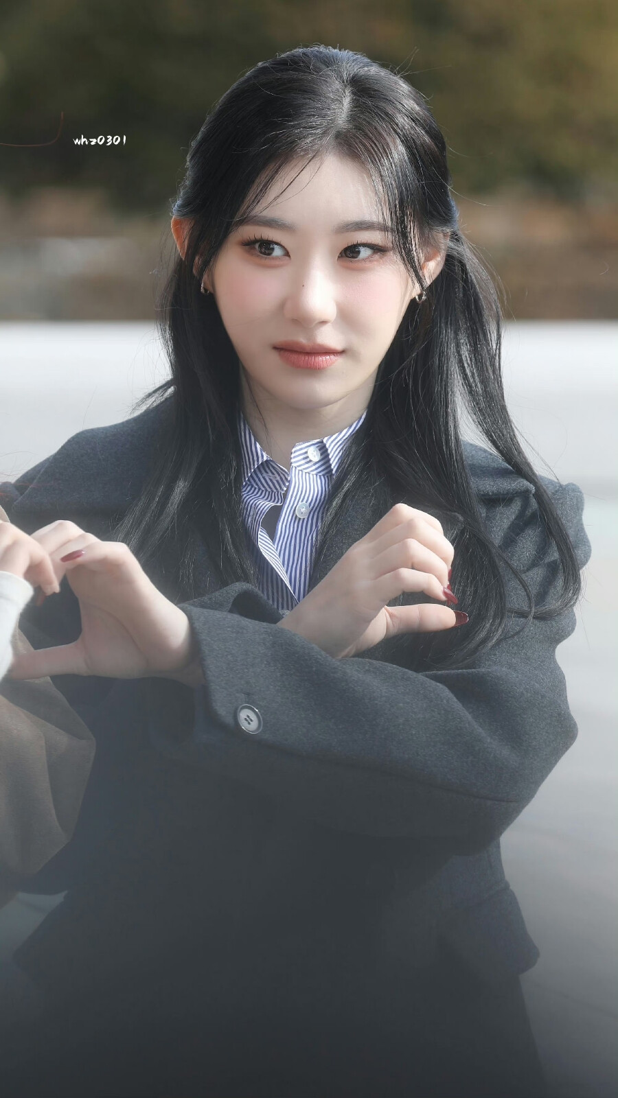 李彩领