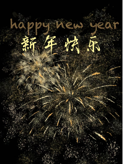 新年的烟花照亮了夜空，也点亮了我心中对未来的期待和憧憬。