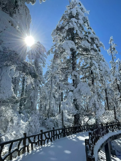 背景图//我的世界下雪了