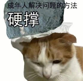 木瓜分享