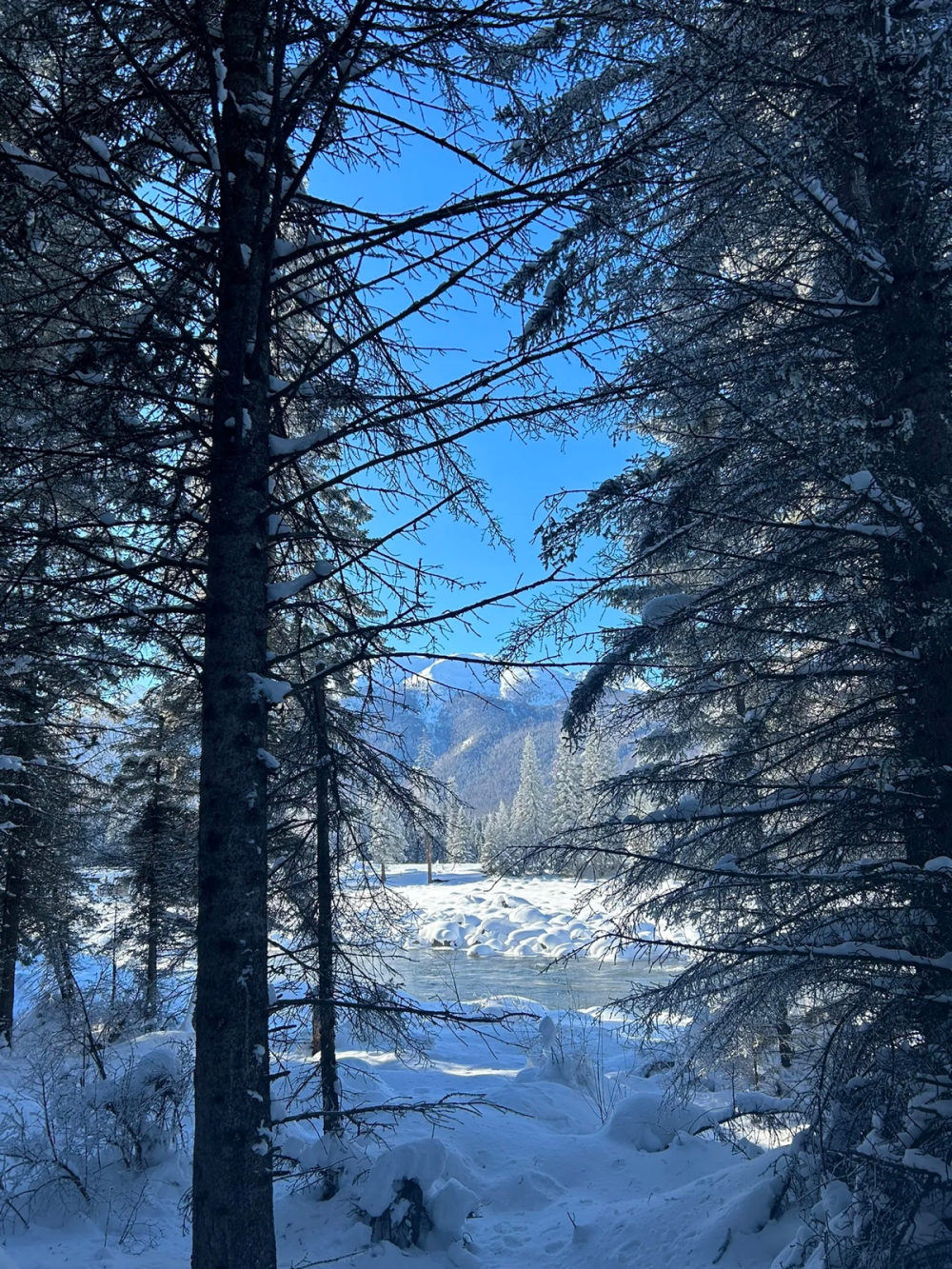 背景图//我的世界下雪了