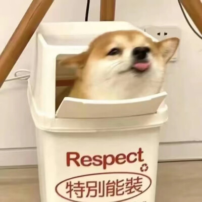 可爱和动漫和男