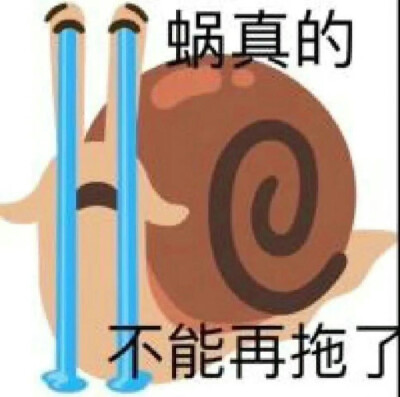 奇怪的表情包