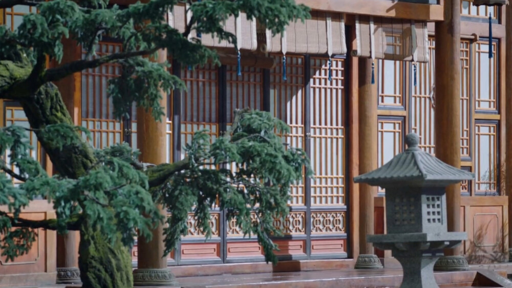 庭院