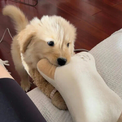 喜自取
