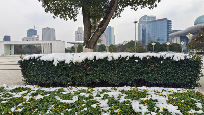 吉安冬韵：城南市民广场雪后风光