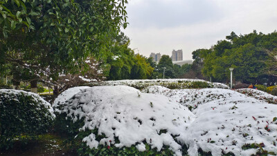 吉安冬韵：城南市民广场雪后风光