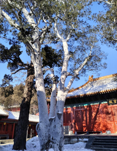 石景山之法海寺