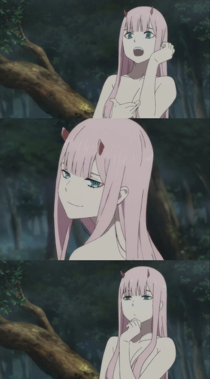 高清图片,堆糖,美图壁纸兴趣社区