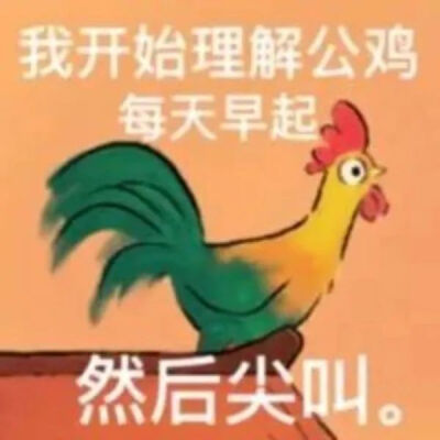 发疯表情包