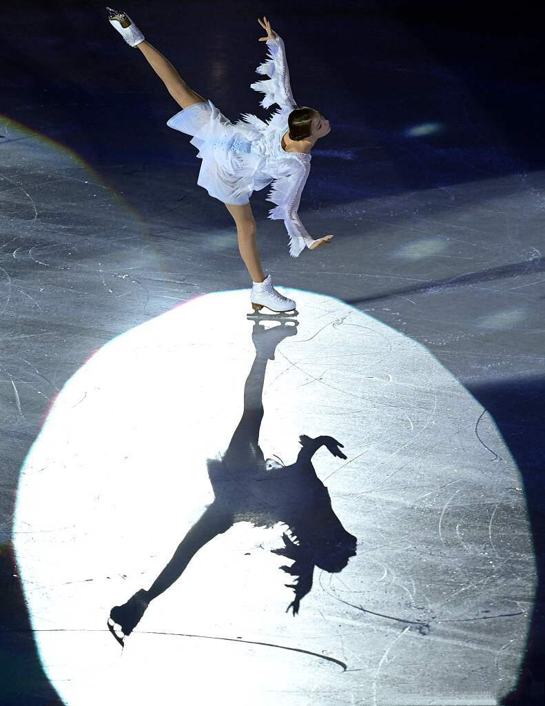 千金谢尔巴科娃