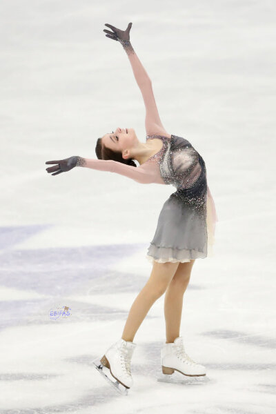 千金谢尔巴科娃