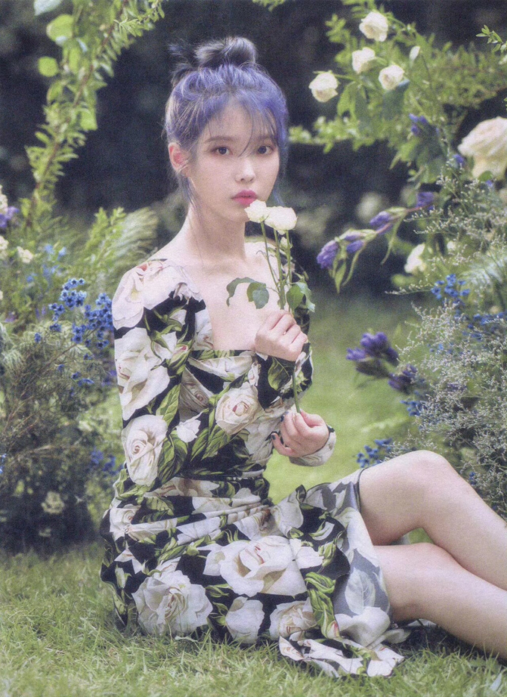 IU