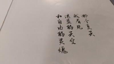 电脑壁纸