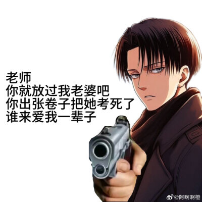 Levi