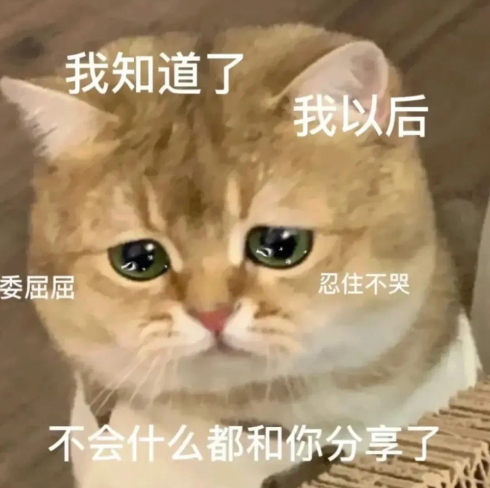 小猫咪表情包