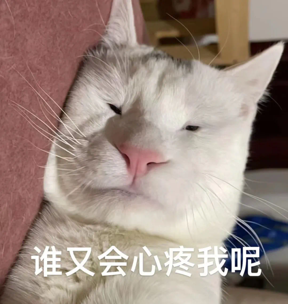 小猫咪表情包