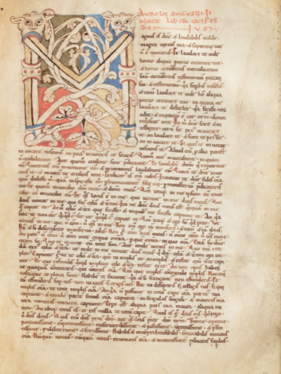 圣奥古斯汀手稿/让-皮埃尔·鲁塞莱手稿