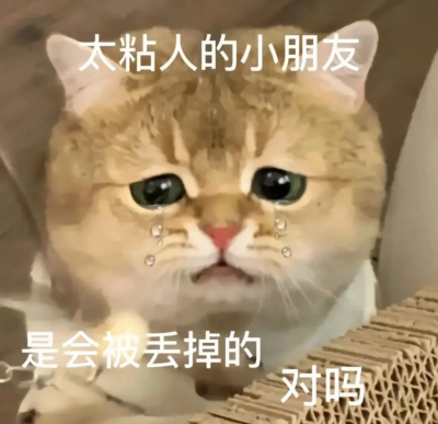 小猫咪表情包