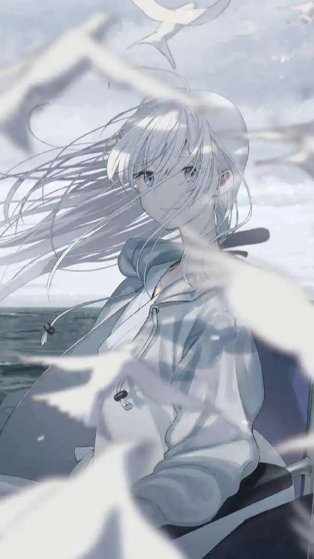 高清图片,堆糖,美图壁纸兴趣社区