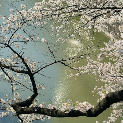 高能量/画/壁纸