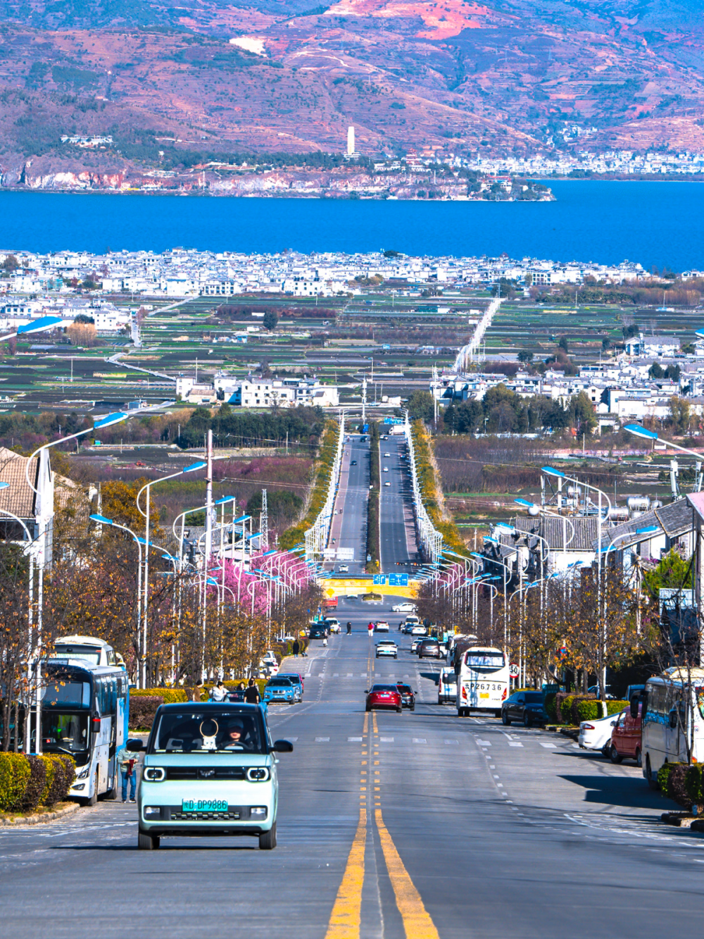 风景