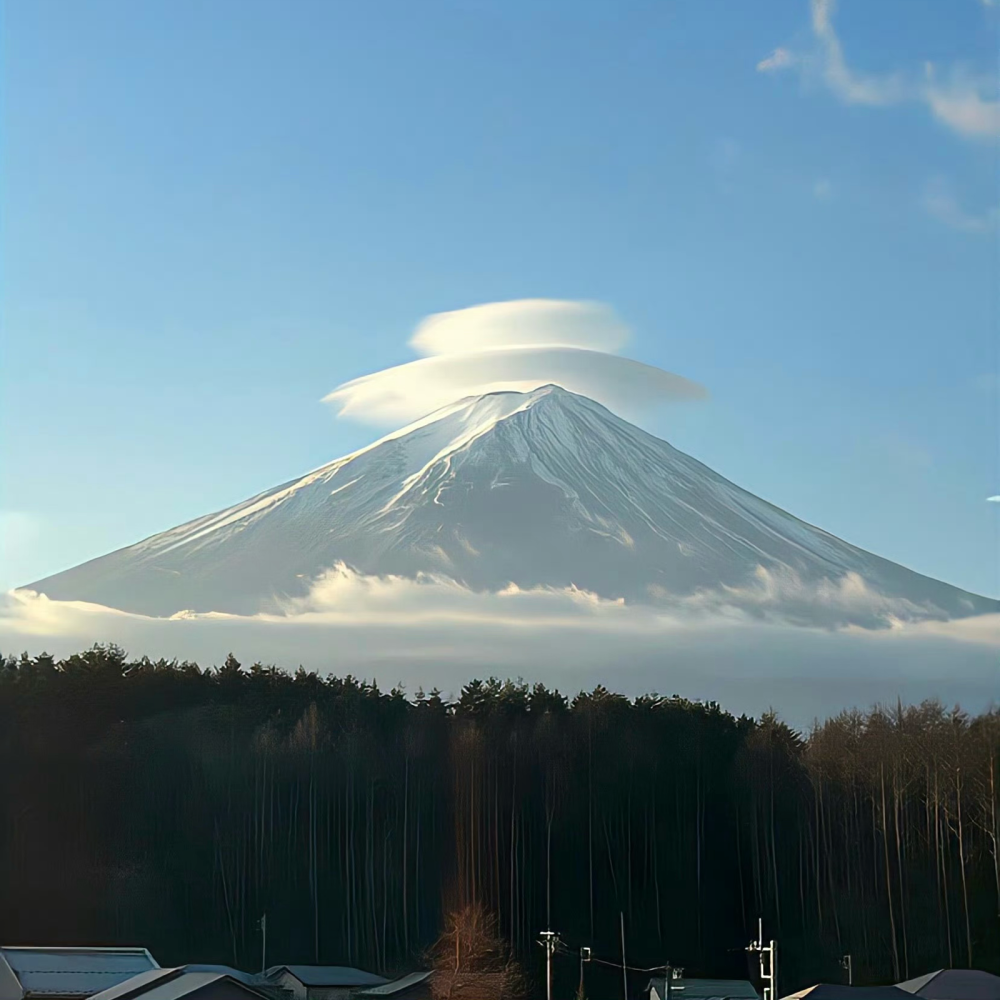 背景｜文案
我不能自詡洞明世事，從過去到今天，我一直是一個尋覓者，但我已不再尋求于星辰和書本之間，而是開始聆聽自己血液的簌簌低語。