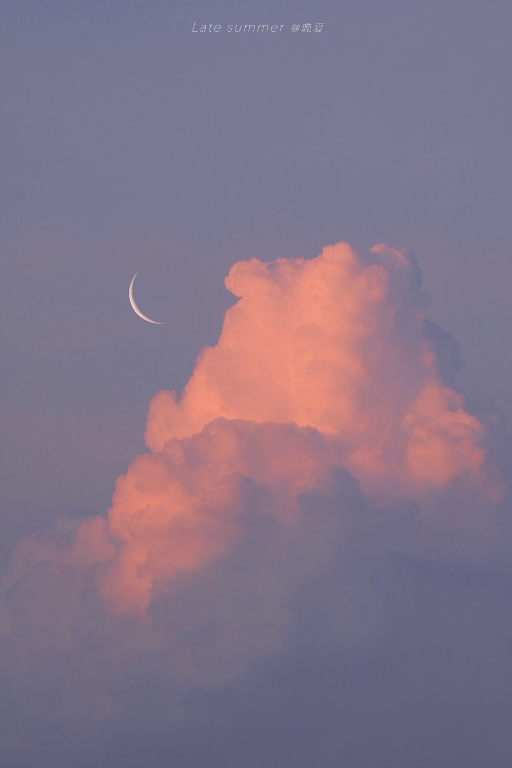 要一个黄昏，满是风，和正在落下的夕阳。
如此，足够我爱这破碎泥泞的人间。 ​
摄影：@晚夏