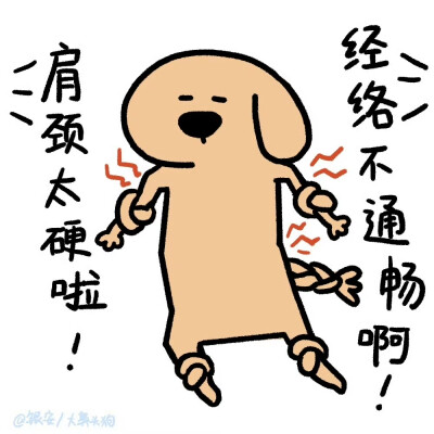 大鼻头狗