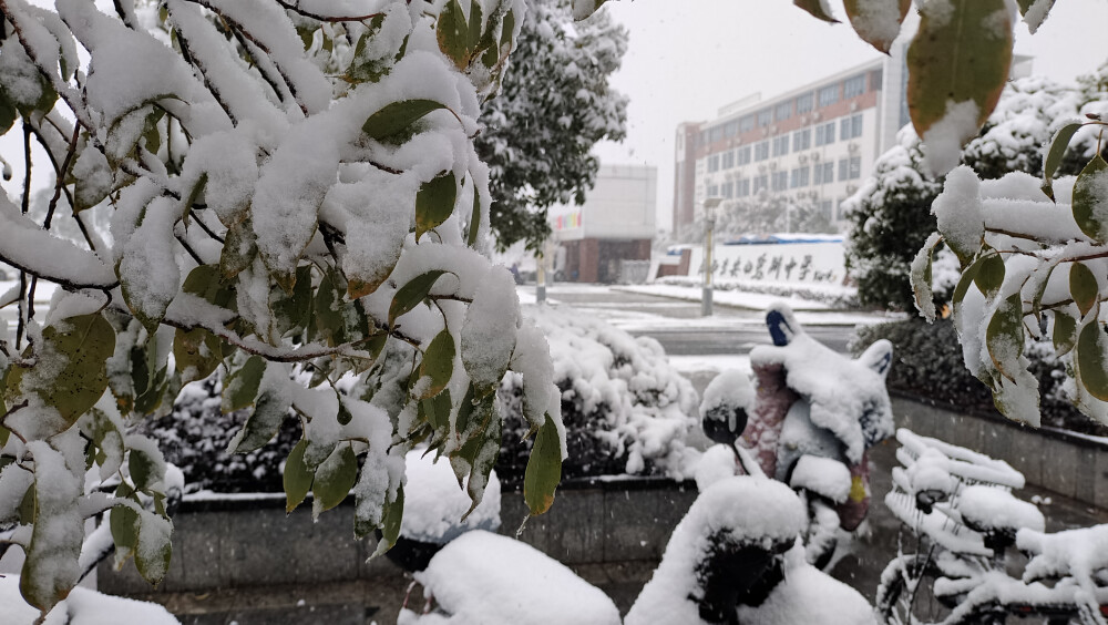 吉安冬韵：雪景美如画 风光无限美