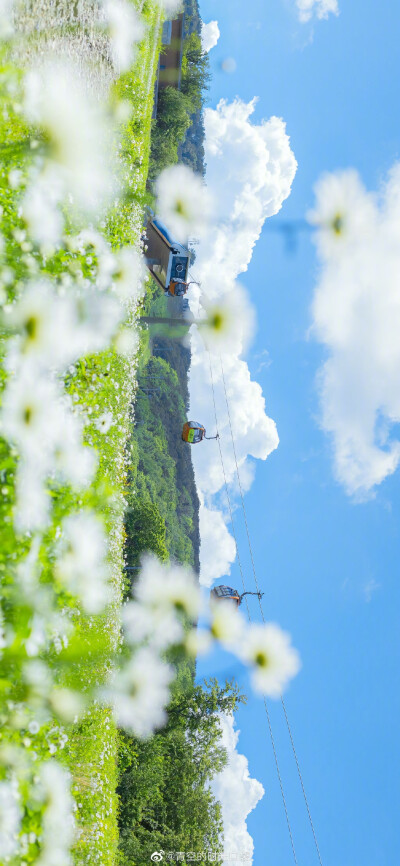 我把秘密告诉了花 花香吹遍了整个山谷 ​
摄影师@青空的时光口袋