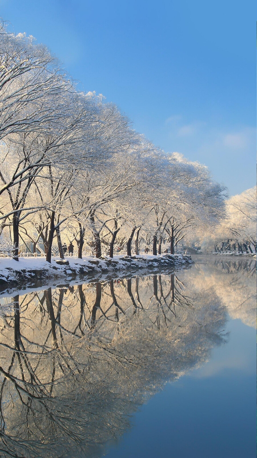 高清图片,堆糖,美图壁纸兴趣社区