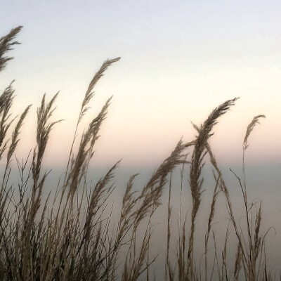 晚风轻踩着云朵，夕阳深处有一家橙色的便利店 ，贩卖着橙色与温柔