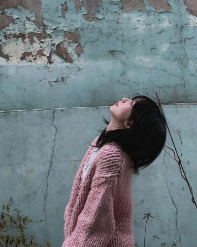 柚子