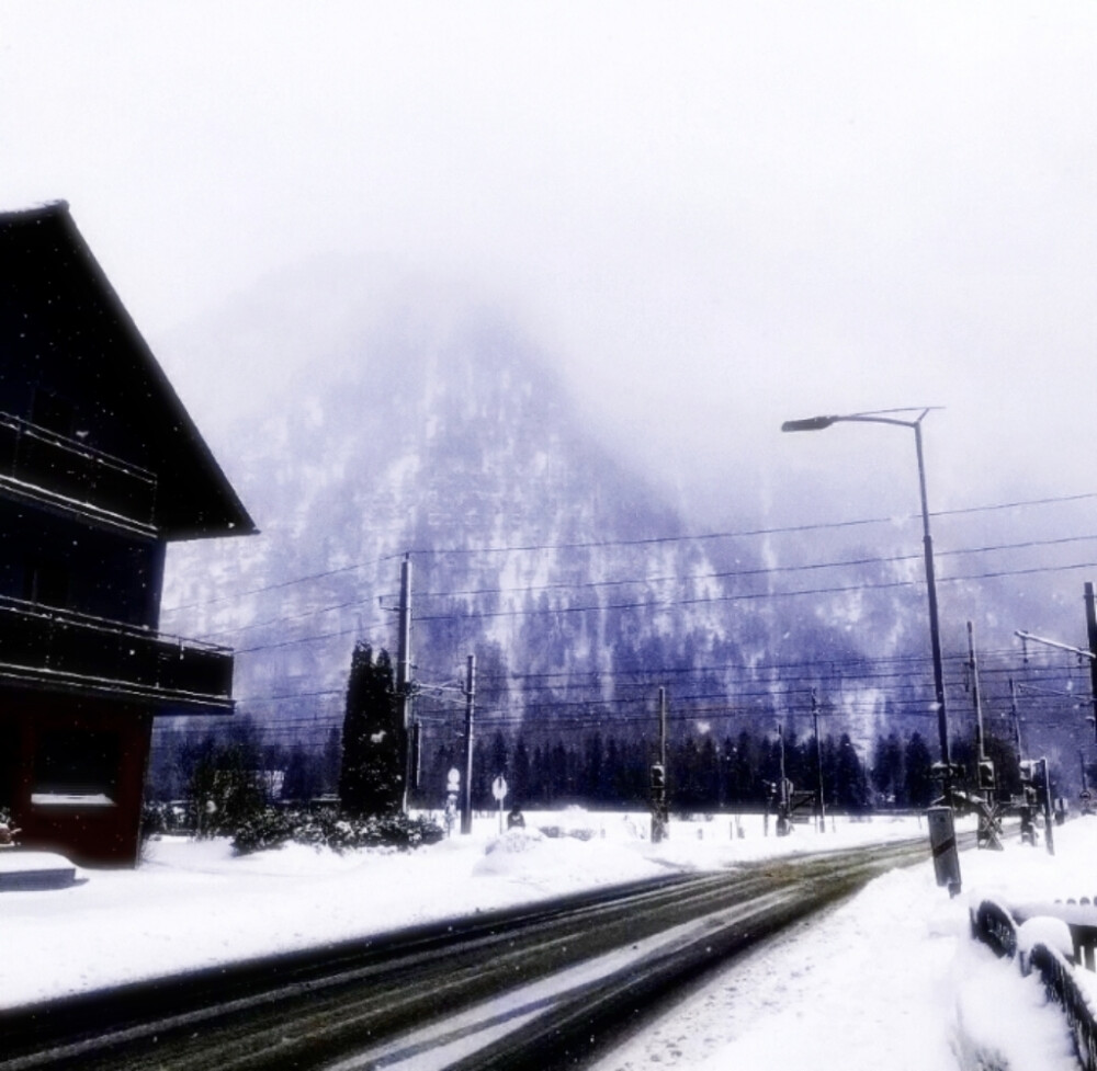 “Riancold”…??? — 池 : Gangnisschnee im Fruhling