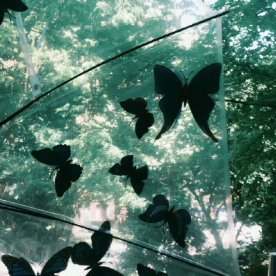 只要你还在笑，那这个世界就不算太糟糕