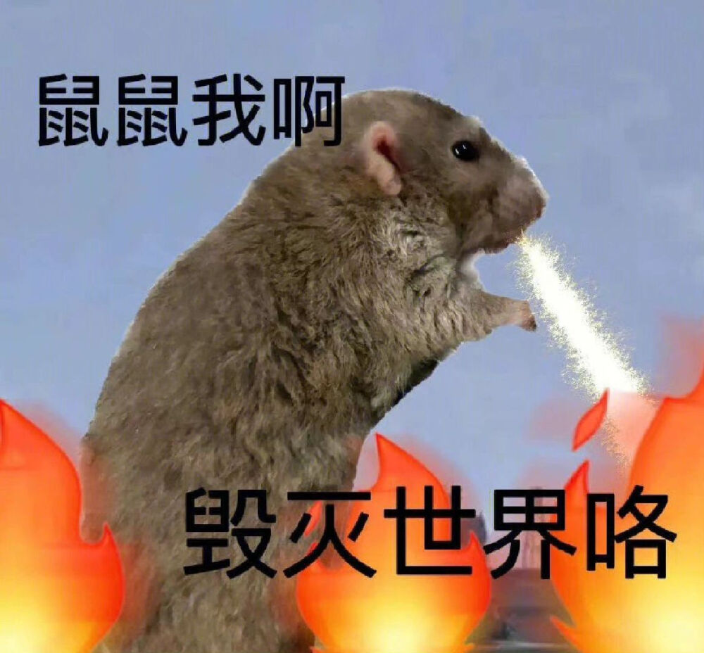 鼠鼠表情包