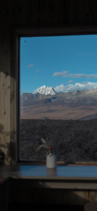 自然而然的风景 绿色又治愈 